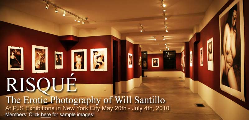 Risque Exhibit by Will Santillo