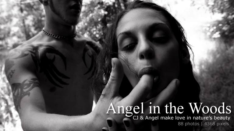 Michelle7-Erotica Cover April 2011 - Angel & CJ  Make Love in the Woods